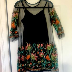 Sexy dress (comes without the slip!)